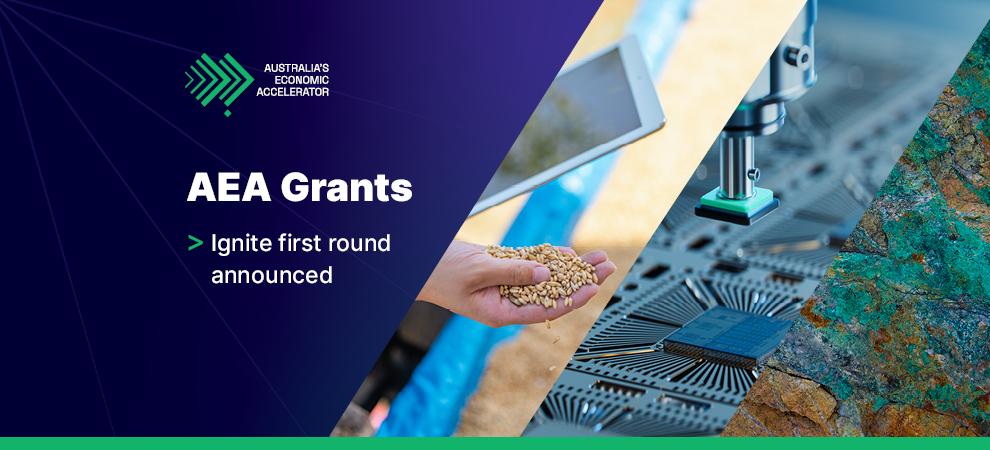 AEI Ignite grant Newsroom Banner
