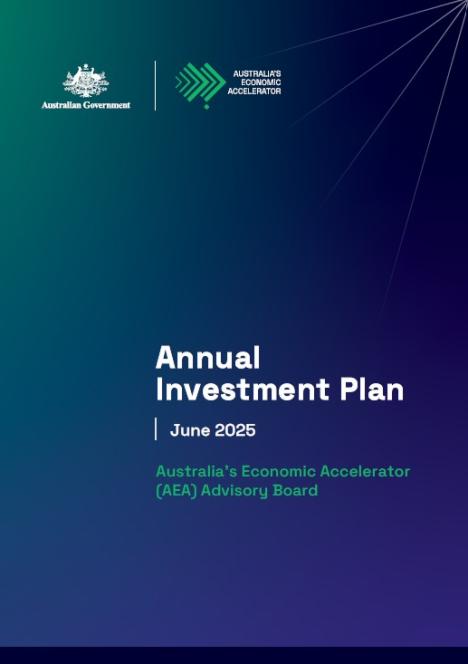 Annual Investment Plan June 2025 thumbnail
